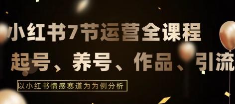 7节小红书运营实战全教程，结合最新情感赛道，打通小红书运营全流程【揭秘】-89网创