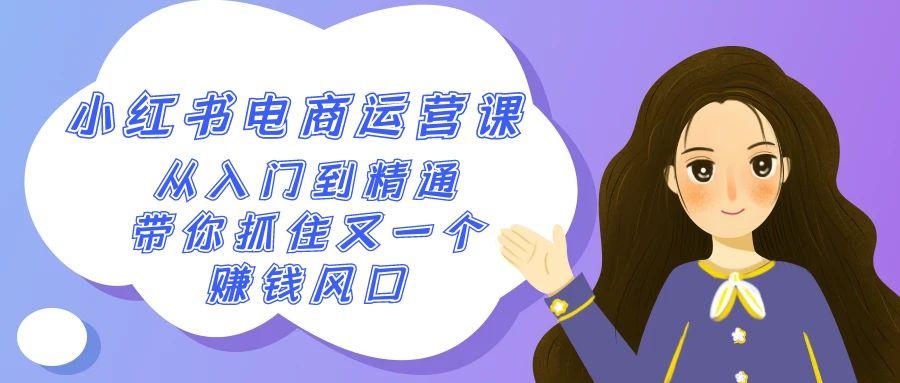 2024小红书-电商运营课，从入门到精通，带你抓住又一个赚钱风口(50节课)-89网创