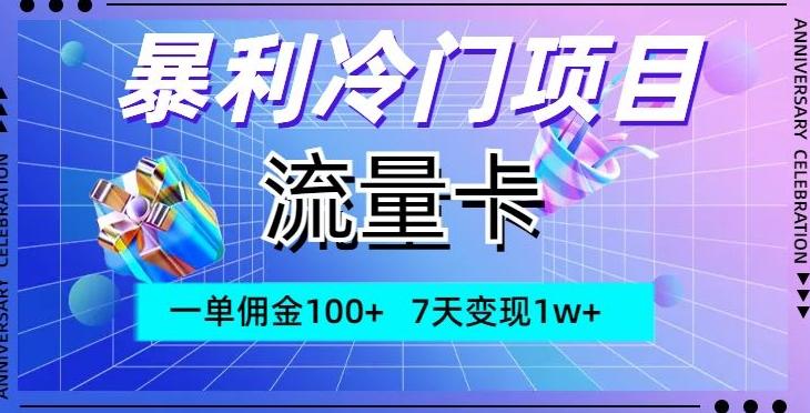 暴利冷门项目，流量卡，一单佣金100+，7天变现1w+-89网创