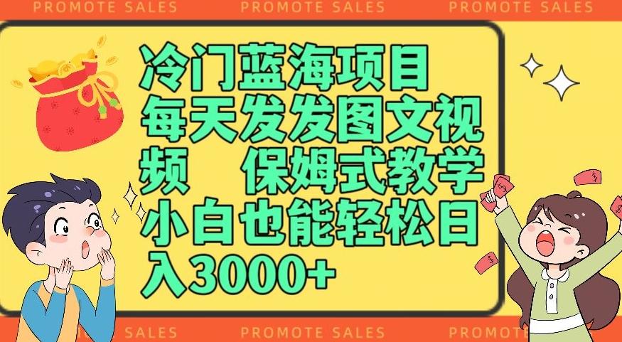 冷门蓝海项目，每天发发图文视频，保姆式教学，小白也能轻松日入3000+-89网创