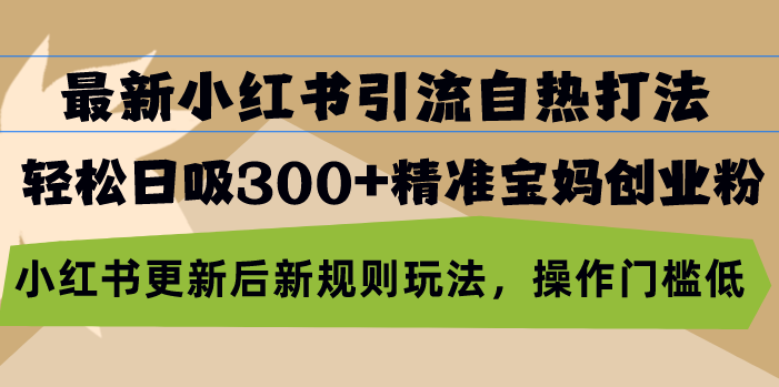 最新小红书引流自热打法，轻松日吸300+精准宝妈创业粉，小红书更新后新…-89网创