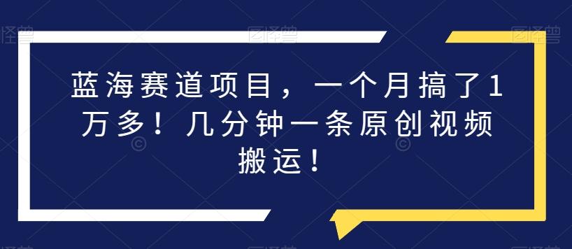蓝海赛道项目，一个月搞了1万多！几分钟一条原创视频搬运！-89网创