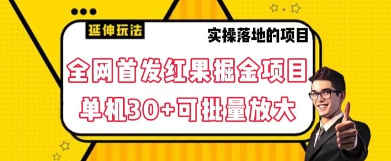 全网首发红果免费短剧掘金项目，单机30+可批量放大【揭秘】-89网创