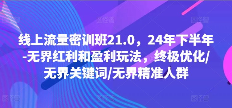 线上流量密训班21.0，24年下半年-无界红利和盈利玩法，终极优化/无界关键词/无界精准人群-89网创