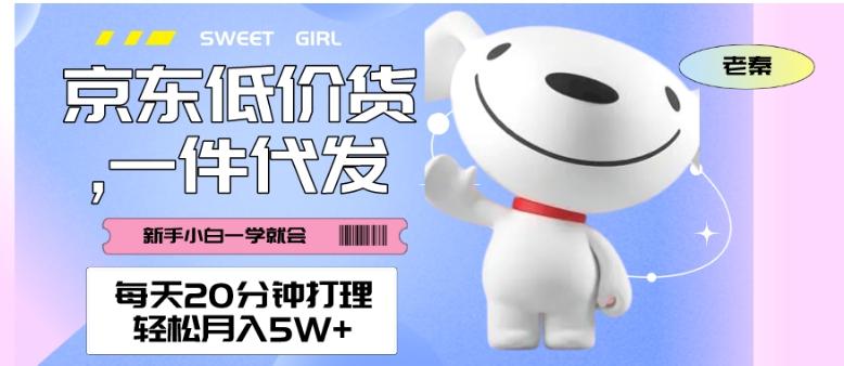 每天20分钟打理京东低价货，一件代发-轻松月入5W＋-89网创