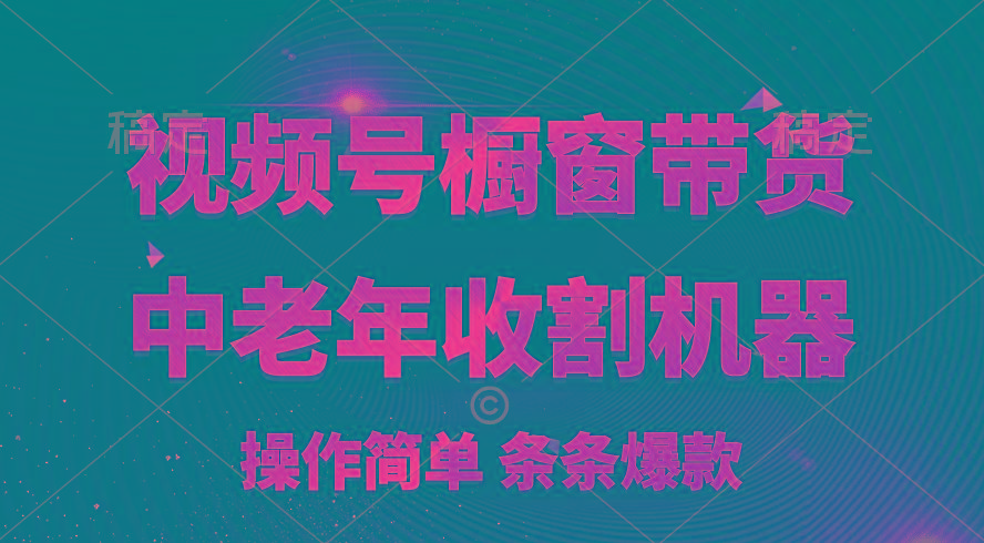 [你的孩子成功取得高位]视频号最火爆赛道，橱窗带货，流量分成计划，条…-89网创