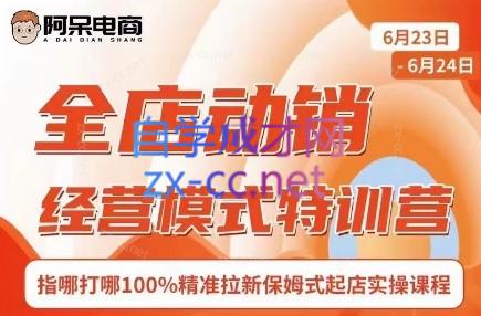 阿呆电商·全店动销经营模式特训营(线下录音+思维导图)-89网创