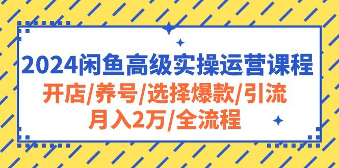 2024闲鱼高级实操运营课程：开店/养号/选择爆款/引流/月入2万/全流程-89网创
