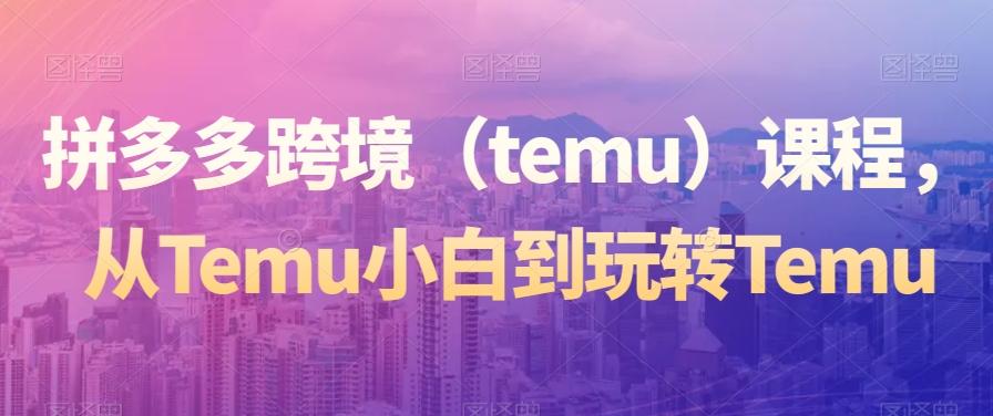 拼多多跨境（temu）课程，从Temu小白到玩转Temu-89网创