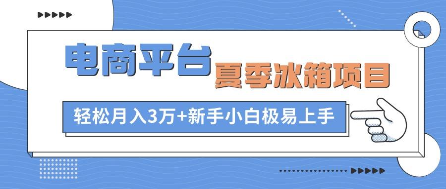 电商平台夏季冰箱项目，轻松月入3万+，新手小白极易上手-89网创