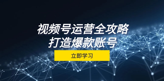 视频号运营全攻略，从定位到成交一站式学习，视频号核心秘诀，打造爆款…-89网创