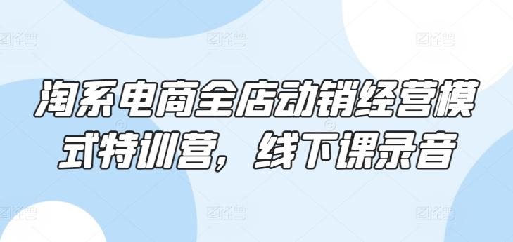 淘系电商全店动销经营模式特训营，线下课录音-89网创