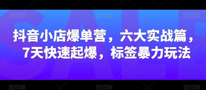 抖音小店爆单营，六大实战篇，7天快速起爆，标签暴力玩法-89网创