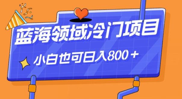 蓝海领域冷门赛道，一单39.9，日入800＋-89网创