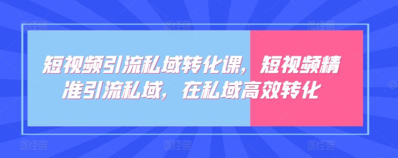 短视频引流私域转化课，短视频精准引流私域，在私域高效转化-89网创