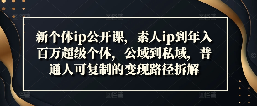 新个体ip公开课，素人ip到年入百万超级个体，公域到私域，普通人可复制的变现路径拆解-89网创