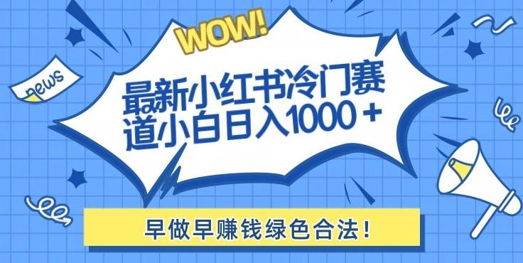 最新小红书冷门赛道日入1000+一部手机小白轻松-89网创