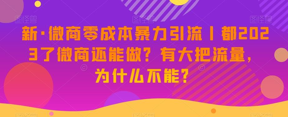 新·微商零成本暴力引流丨都2023了微商还能做？有大把流量，为什么不能？-89网创