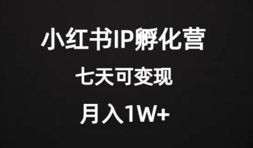 价值2000+的小红书IP孵化营项目，超级大蓝海，七天即可开始变现，稳定月入1W+-89网创