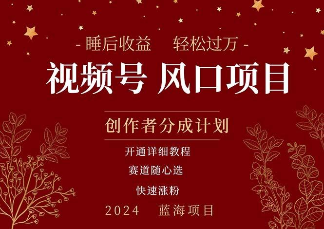 拥有睡眠收益的微信视频号大风口项目，轻松月入过万+，多赛道选择，可…-89网创