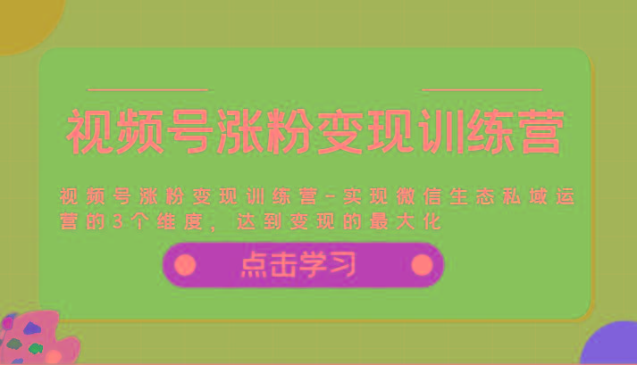 视频号涨粉变现训练营-实现微信生态私域运营的3个维度，达到变现的最大化-89网创