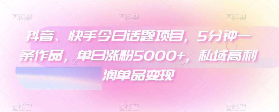 抖音、快手今日话题项目，5分钟一条作品，单日涨粉5000+，私域高利润单品变现-89网创