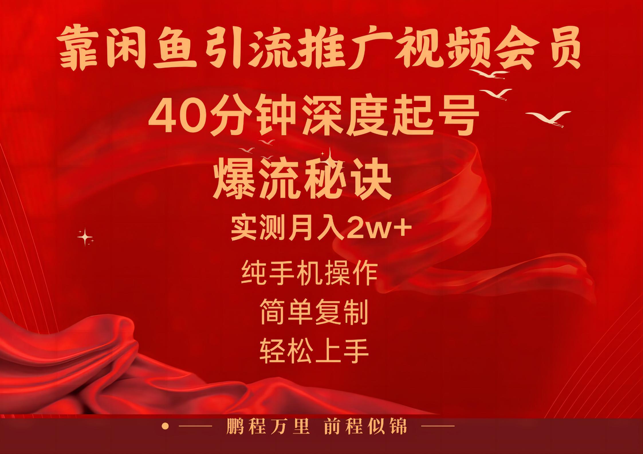 闲鱼暴力引流推广视频会员，能做到日入2W+，操作简单-89网创