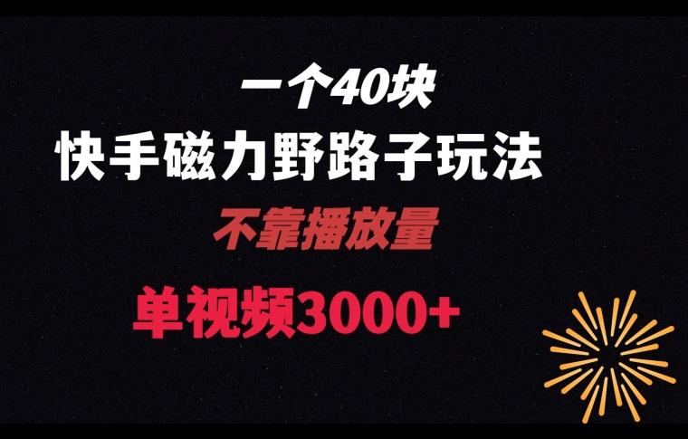 一个40块，快手联合美团磁力新玩法，无视机制野路子玩法，单视频收益4位数【揭秘】-89网创