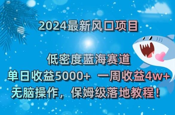 2024最新风口项目，低密度蓝海赛道，单日收益5000+，一周收益4w+！【揭秘】-89网创
