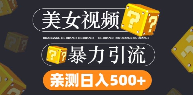 搬运tk美女视频全网分发，日引s粉300+，轻松变现，不限流量不封号【揭秘】-89网创