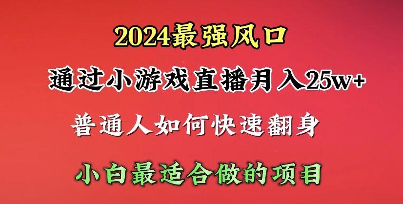 (10020期)2024年最强风口，通过小游戏直播月入25w+单日收益5000+小白最适合做的项目-89网创