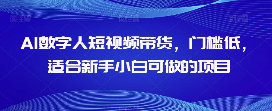 AI数字人短视频带货，门槛低，适合新手小白可做的项目-89网创