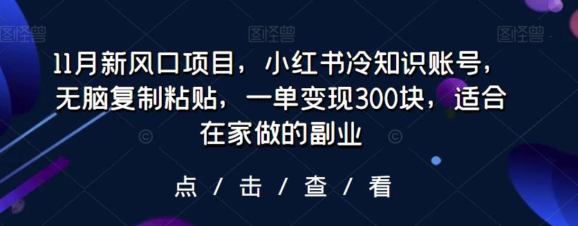 11月新风口项目，小红书冷知识账号，无脑复制粘贴，一单变现300块，适合在家做的副业-89网创