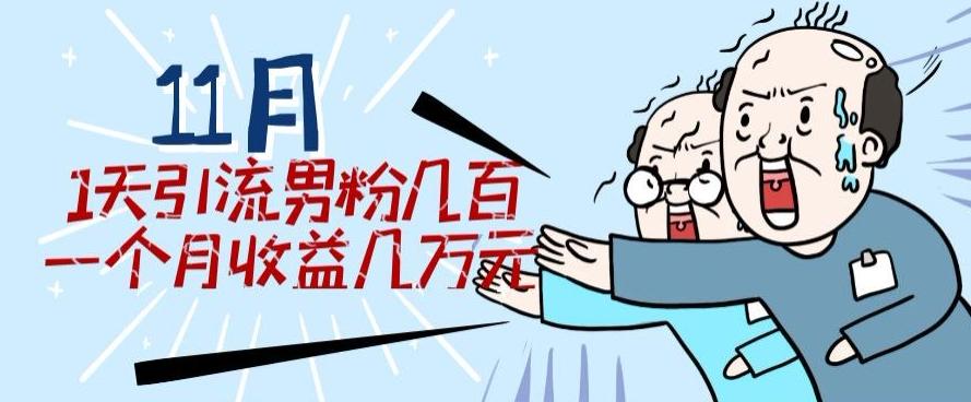 11月最新每天引流男粉300+一个月收益几万元-89网创