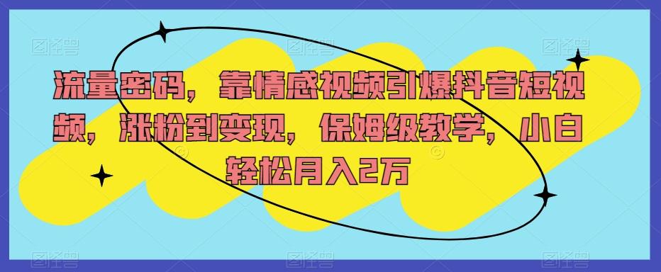 流量密码，靠情感视频引爆抖音短视频，涨粉到变现，保姆级教学，小白轻松月入2万【揭秘】-89网创