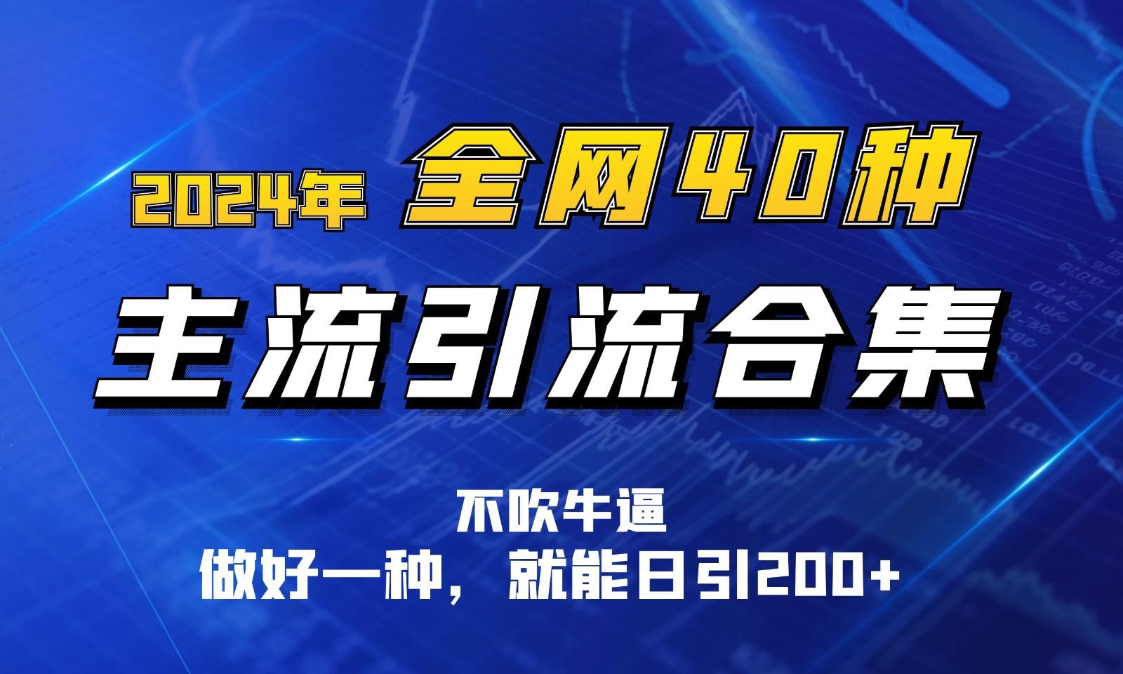 2024年全网40种暴力引流合计，做好一样就能日引100+-89网创