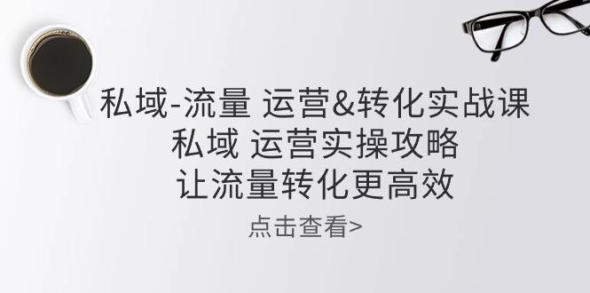 私域-流量 运营&转化实操课：私域 运营实操攻略 让流量转化更高效-89网创