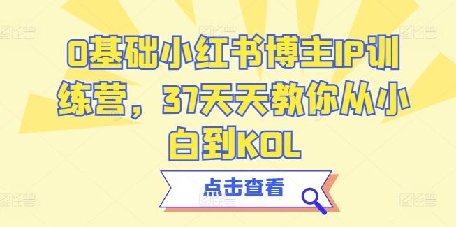 0基础小红书博主IP训练营，37天天教你从小白到KOL-89网创