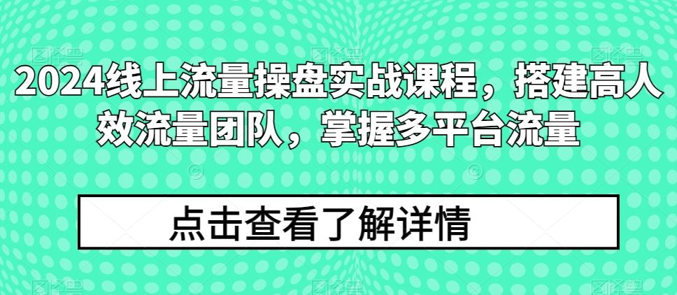 2024线上流量操盘实战课程，搭建高人效流量团队，掌握多平台流量-89网创