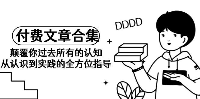 (9646期)《某公众号付费文章合集》颠覆你过去所有的认知 从认识到实践的全方位指导-89网创