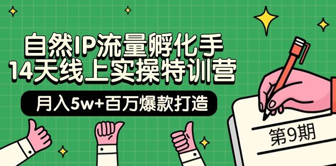 (9881期)自然IP流量孵化手 14天线上实操特训营【第9期】月入5w+百万爆款打造 (74节)-89网创