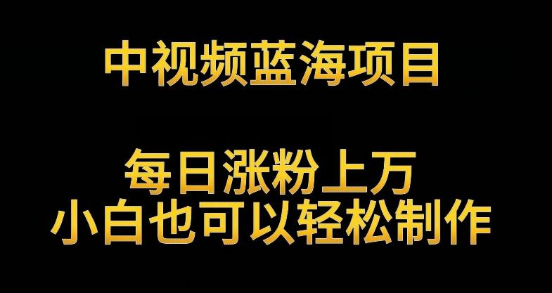 中视频蓝海项目，解读英雄人物生平，每日涨粉上万，小白也可以轻松制作，月入过万不是梦【揭秘】-89网创