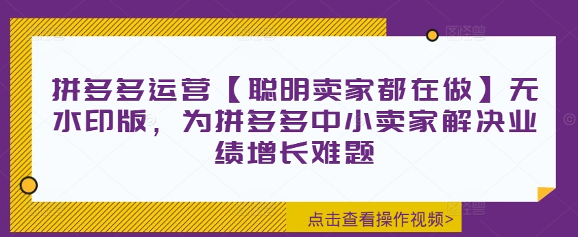 拼多多运营【聪明卖家都在做】无水印版，为拼多多中小卖家解决业绩增长难题-89网创