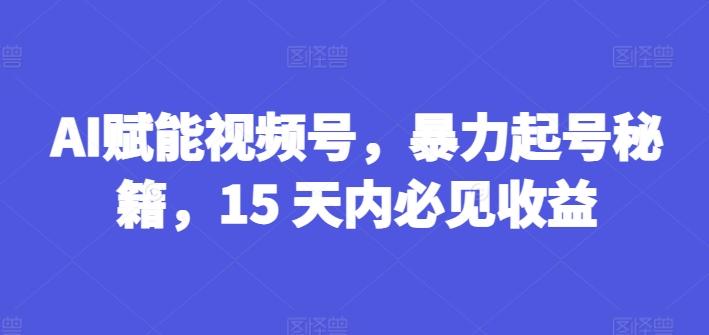AI赋能视频号，暴力起号秘籍，15 天内必见收益【揭秘】-89网创