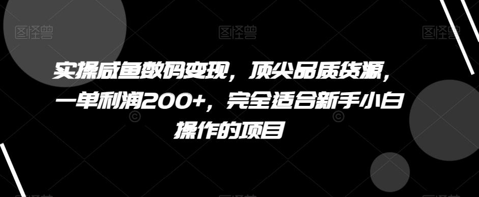 实操咸鱼数码变现，顶尖品质货源，一单利润200+，完全适合新手小白操作的项目【揭秘】-89网创