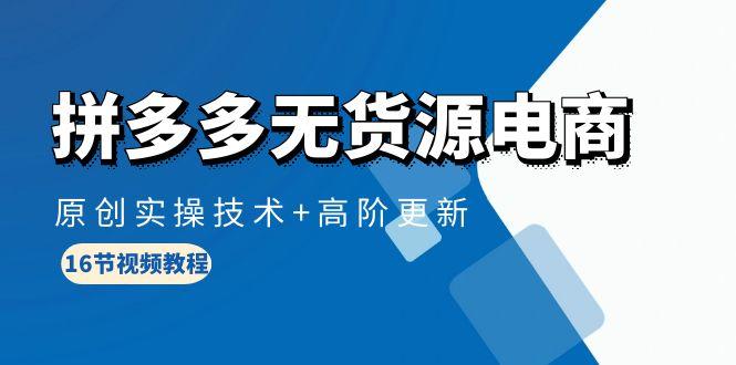 (10015期)拼多多无货源电商，原创实操技术+高阶更新(16节视频教程)-89网创