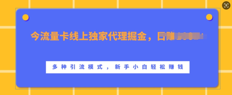 流量卡线上独家代理掘金，日入1k+ ，多种引流模式，新手小白轻松上手【揭秘】-89网创