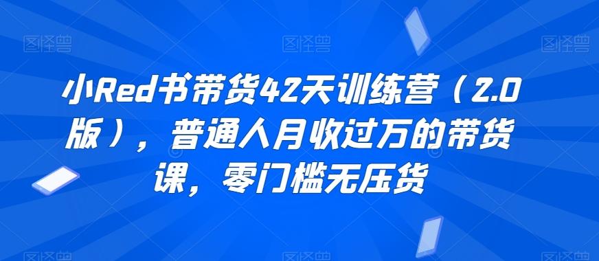 小Red书带货42天训练营(2.0版)，普通人月收过万的带货课，零门槛无压货-89网创