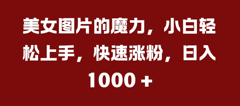 美女图片的魔力，小白轻松上手，快速涨粉，日入几张【揭秘】-89网创