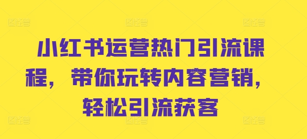 小红书运营热门引流课程，带你玩转内容营销，轻松引流获客-89网创